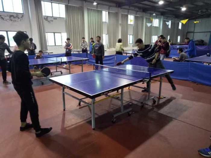 1491357515459052434.jpg 1.jpg