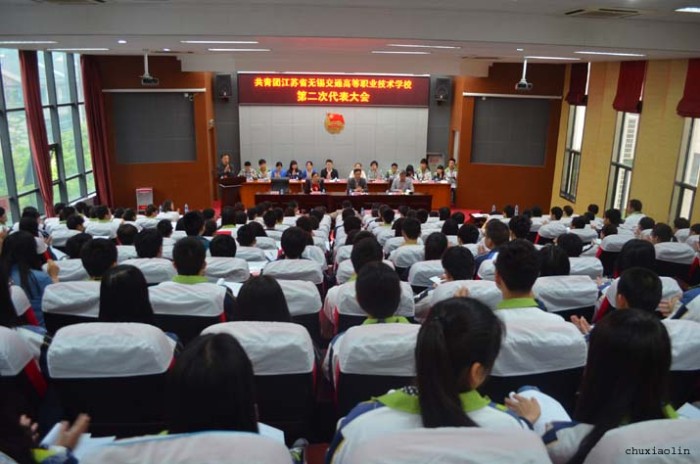 共青团开云app官方在线入口第二次代表大会隆重举行