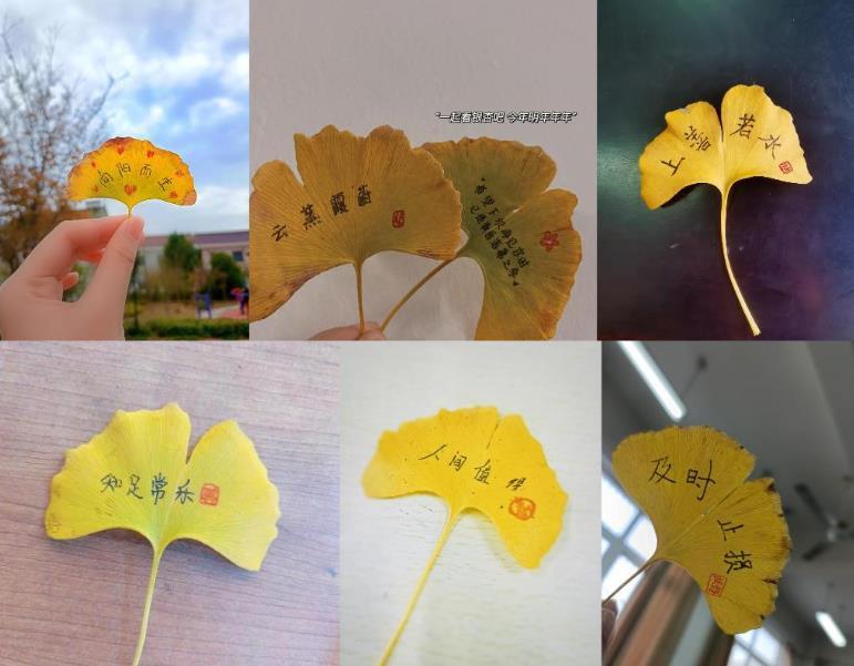 收集秋冬况味,书写人生信条